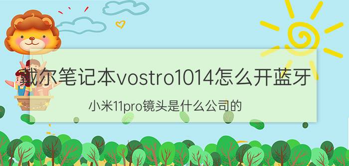 戴尔笔记本vostro1014怎么开蓝牙 小米11pro镜头是什么公司的？